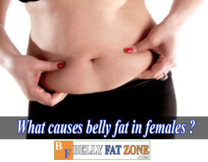 What Causes Belly Fat in Females?