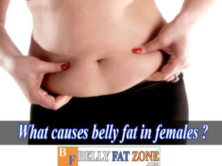 What Causes Belly Fat in Females?