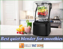 Top 8 Best Quiet Blender For Smoothies 2022 in The Market