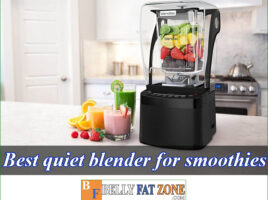 Top 8 Best Quiet Blender For Smoothies 2022 in The Market