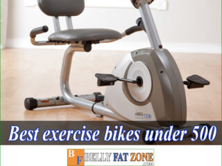 Top 15 Best Exercise Bikes Under 500 USD of 2022