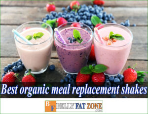 15 Best Organic Meal Replacement Shakes 2022 Delicious Waiting For You To Enjoy