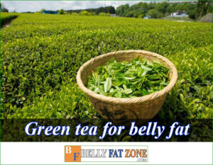 Green Tea For Lose Belly Fat and How To Use It Effectively