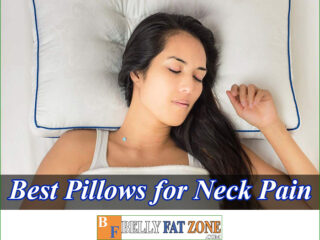 Top Best Pillows for Neck Pain 2022