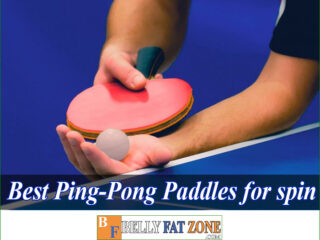 Top 15 Best Ping Pong Paddles 2022