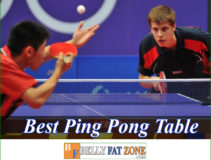 https://bellyfatzone.com/wp-content/uploads/2019/07/best-ping-pong-table-2019-211x160.jpg