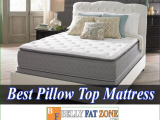 Top Best Pillow Top Mattress 2022