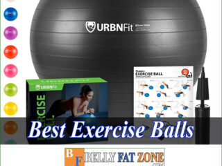 Top Best Exercise Balls 2022