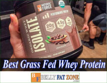 19 Best Grass Fed Whey Protein 2022