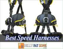 Top Best Speed Harnesses 2022