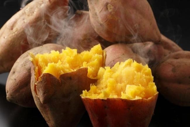 Should choose red yellow sweet potato to lose weight.