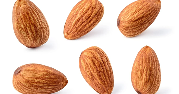 Almond seeds