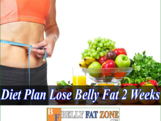 Diet Plan To Lose Belly Fat In 2 Weeks Effective While Ensuring Comfort