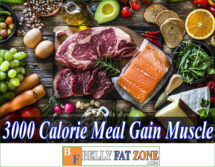 3000 Calorie Meal Plan to Gain Muscle For You Updated
