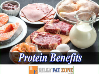 Protein Benefits – Why is It an Important Protein for Weight Loss?