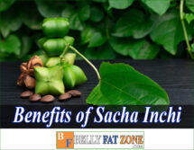 What are The Benefits of Sacha Inchi? For Belly Fat?