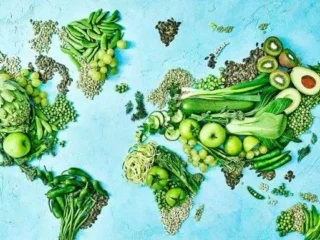 Economical eco-friendly diet ideas