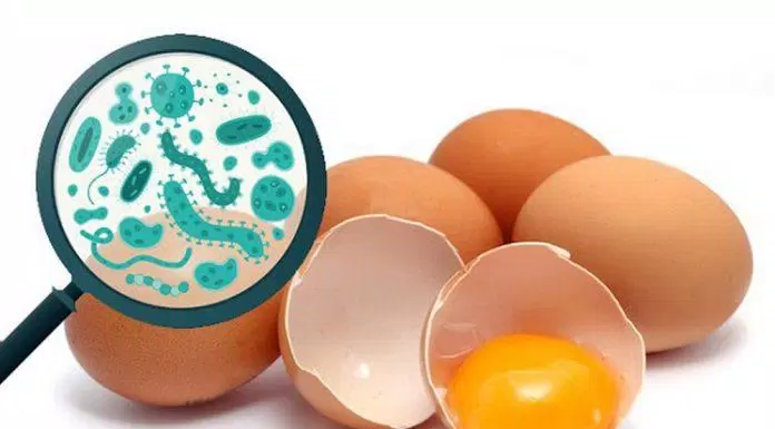 find out which processed eggs keep the best nutrition 10