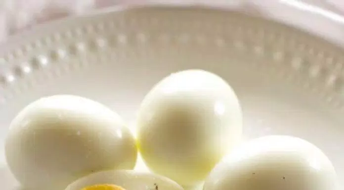 find out which processed eggs keep the best nutrition 2