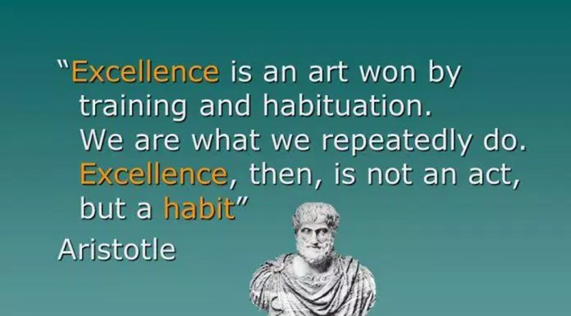 “Excellence is an art achieved by practice and habit. The things that we do over and over again become who we are. Hence excellence is not an act, but a habit.” – Aristotle
