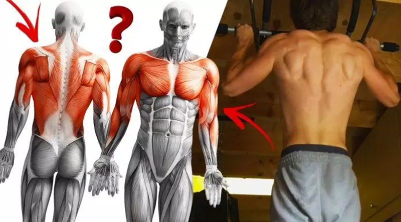 you have to use other muscles of the upper back (trapezius, sphincter, rotator cuff) as well as the shoulder area, forearms, back arms, forearms, hands, and even core muscles.