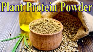 Plant Protein Powder –You Can Make It Yourself At Home