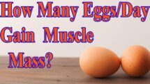 How Many Eggs a Day to Gain Muscle Mass?  BellyFatZone