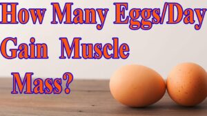 How Many Eggs a Day to Gain Muscle Mass?  BellyFatZone