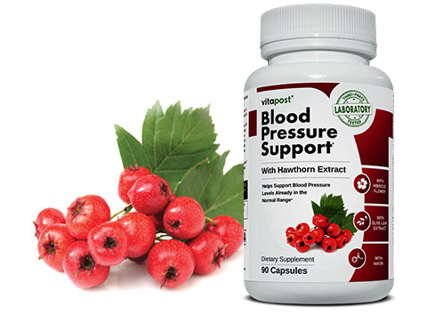Blood pressure support supplements