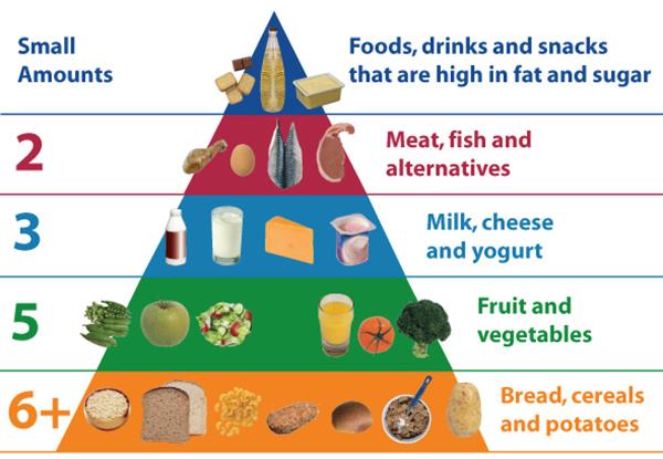 Nutrition pyramid for thin people need to gain weight and gain muscle