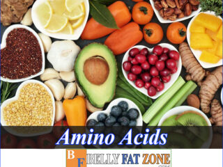 Amino Acids Function – Beneficial Or Harmful? Effects On The Body