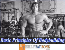 Basic Principles Of Bodybuilding – You Would Wish You Knew These Things First of All