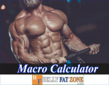 Macro Calculator for Muscle  – Focus on Your Numbers