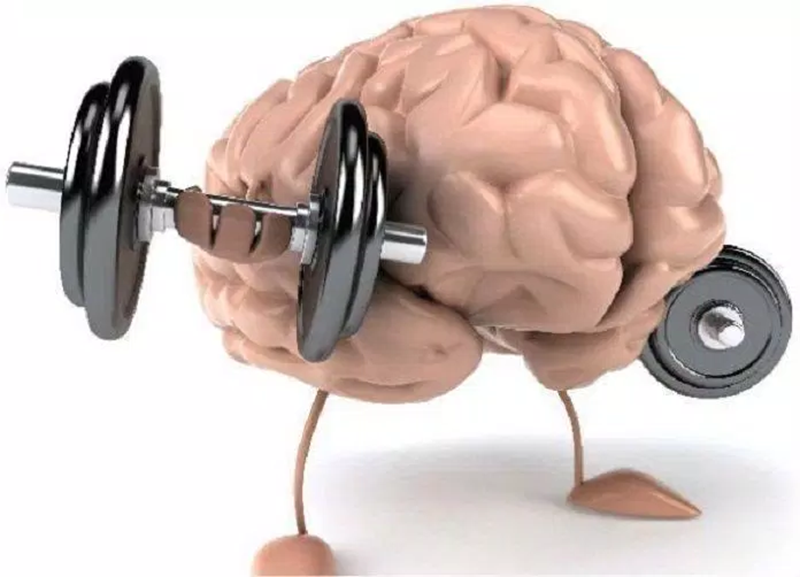 What mechanism creates muscle memory?