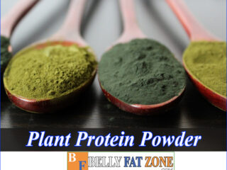 Plant Protein Powder – You Can Make It Yourself At Home