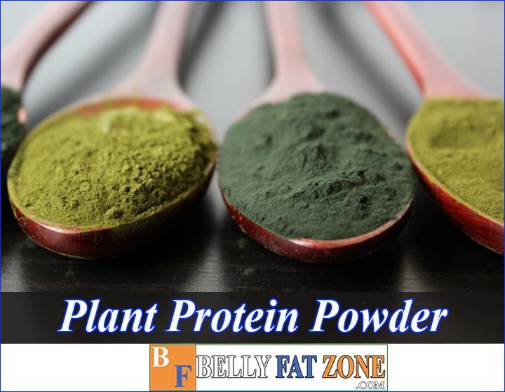 Plant Protein Powder - You Can Make It Yourself At Home