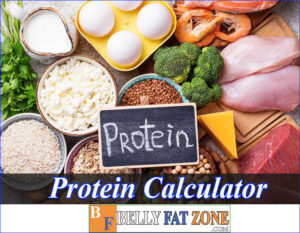 Protein Calculator – Are You Eating Too Many Protein-rich Foods?