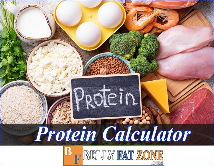 protein calculator bellyfatzone com