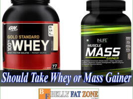 Should I Take Whey or Mass Gainer?