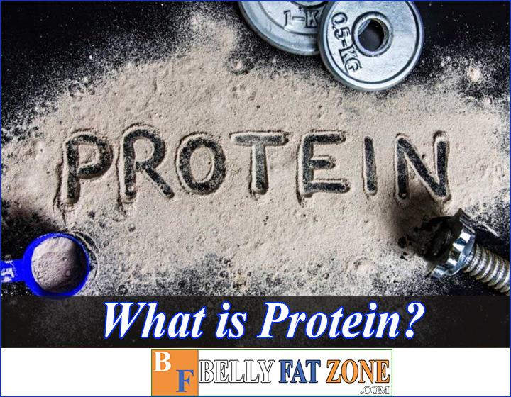 What Is Protein? How Much Is Enough And Used Properly
